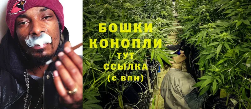 Каннабис SATIVA & INDICA  Коряжма 